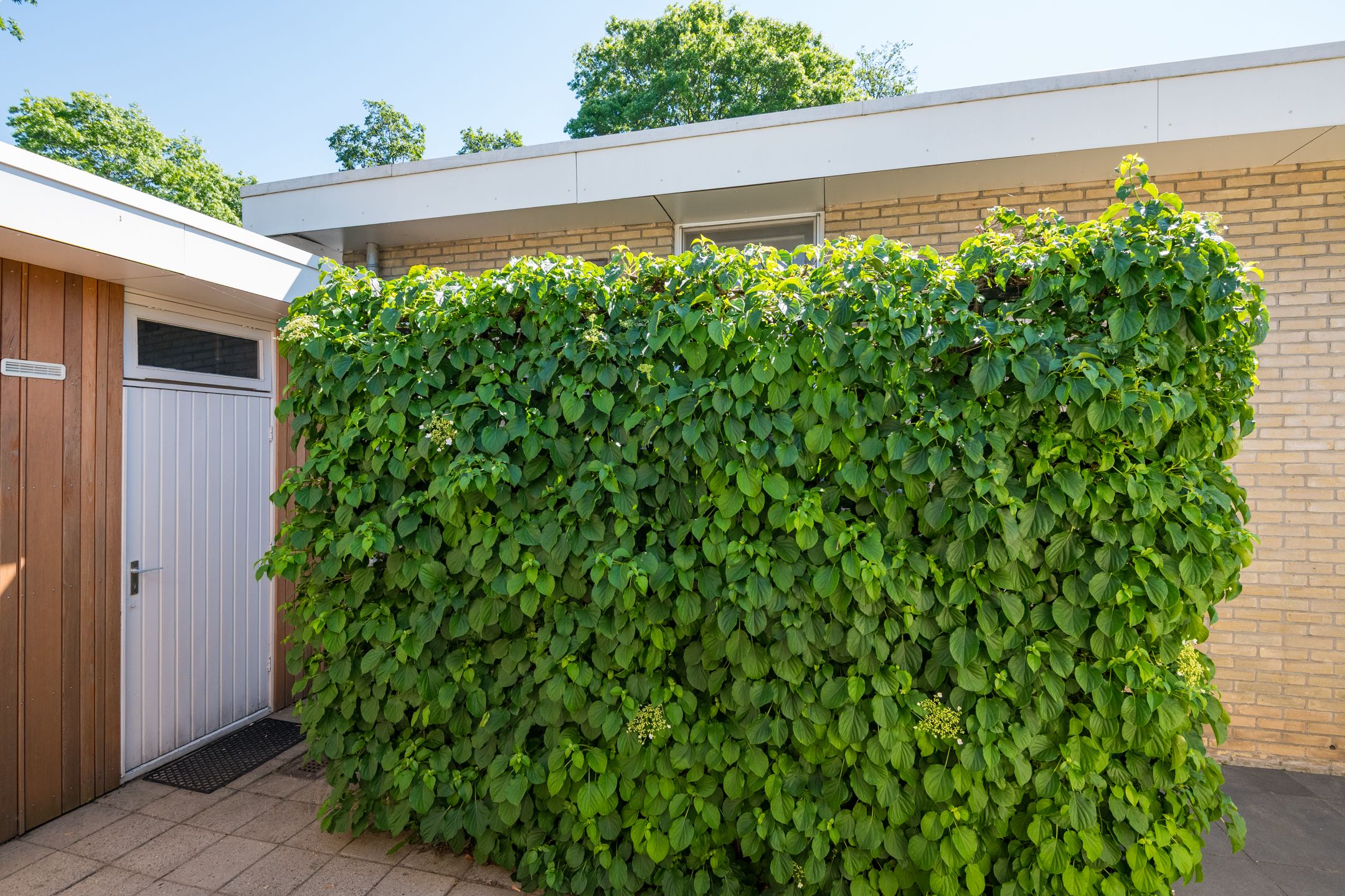 Foto 27 van Boddens Hosangstraat 17