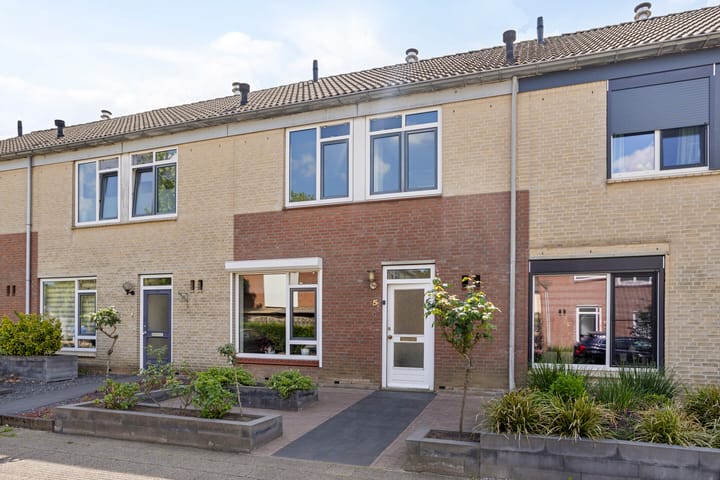 Foto 1 van Paulus Potterstraat 5