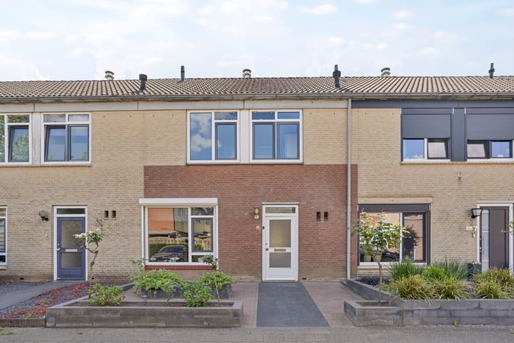 Foto 5 van Paulus Potterstraat 5