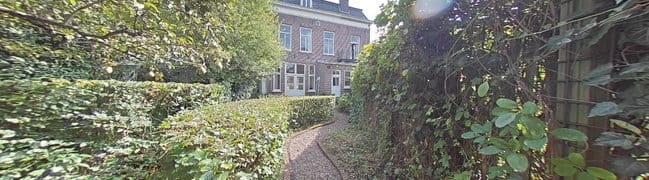 achtertuin