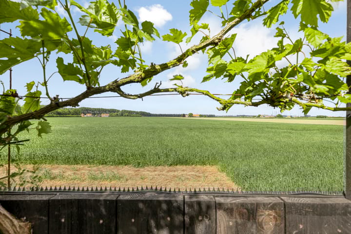 Foto 21 van Molendijk 56