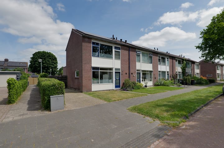 undefined main image