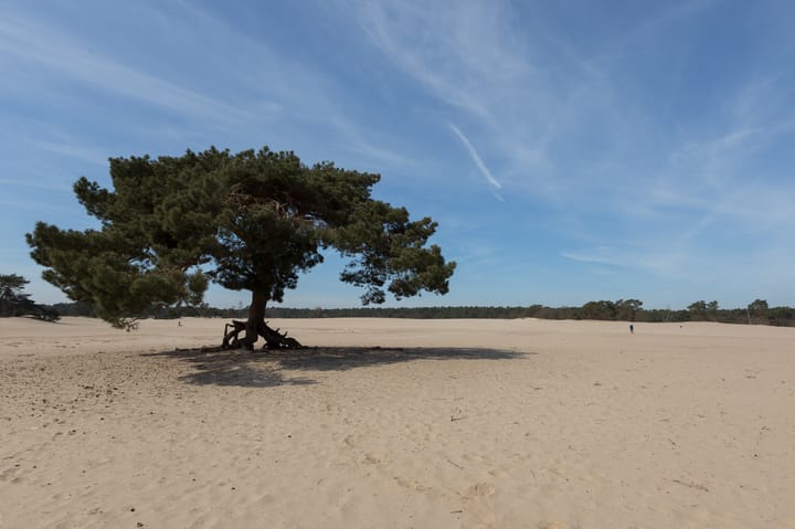 Foto 71 van Braamduin 4