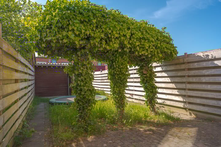 Foto 36 van Houtsnijderstraat 10