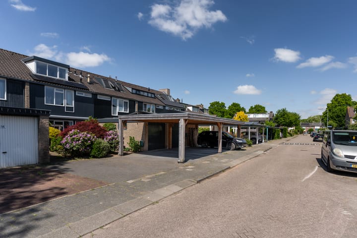 Foto 57 van Bijenvlucht 14