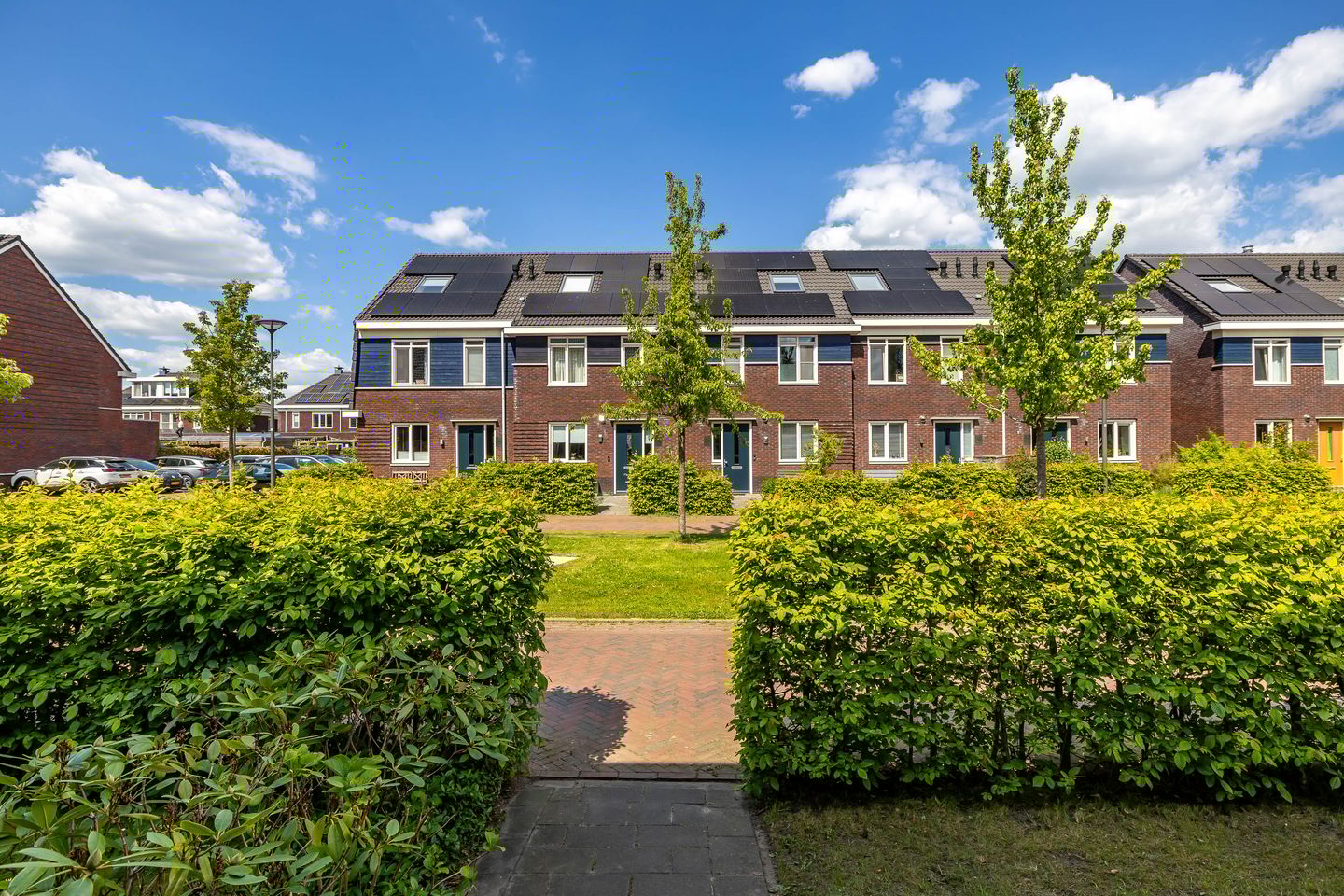 Foto 35 van Eenkoorn 31