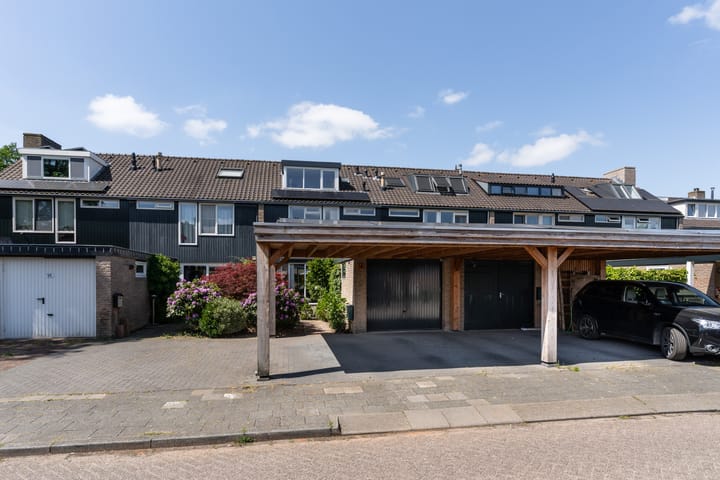 Foto 56 van Bijenvlucht 14