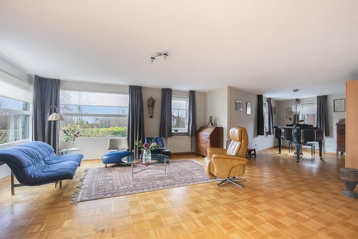 Foto 2 van Steenarend 7