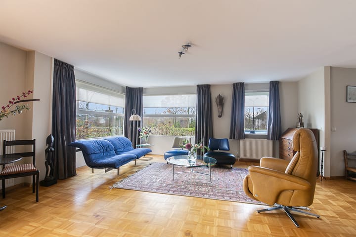 Foto 8 van Steenarend 7