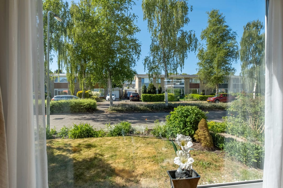 Foto 41 van Hazzeleger 8