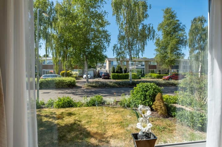 Foto 41 van Hazzeleger 8