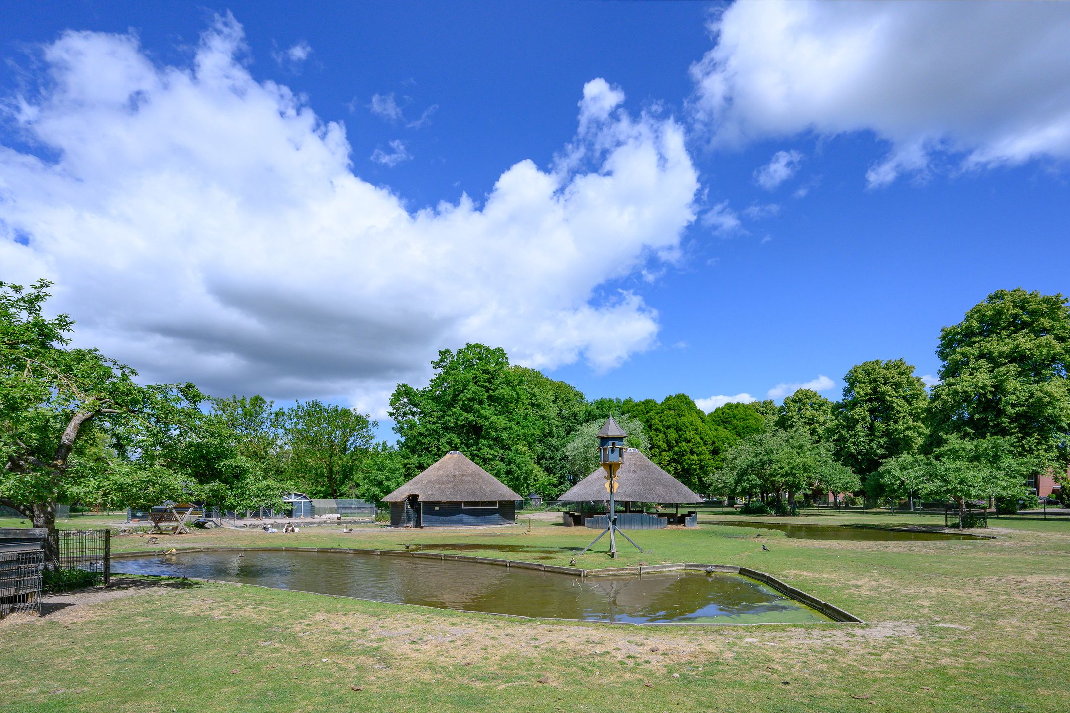 Foto 27 van Goeman Borgesiusstraat 29