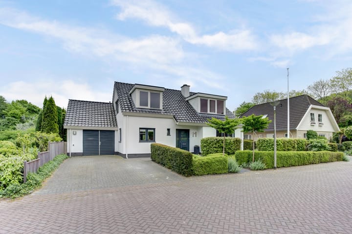 undefined main image
