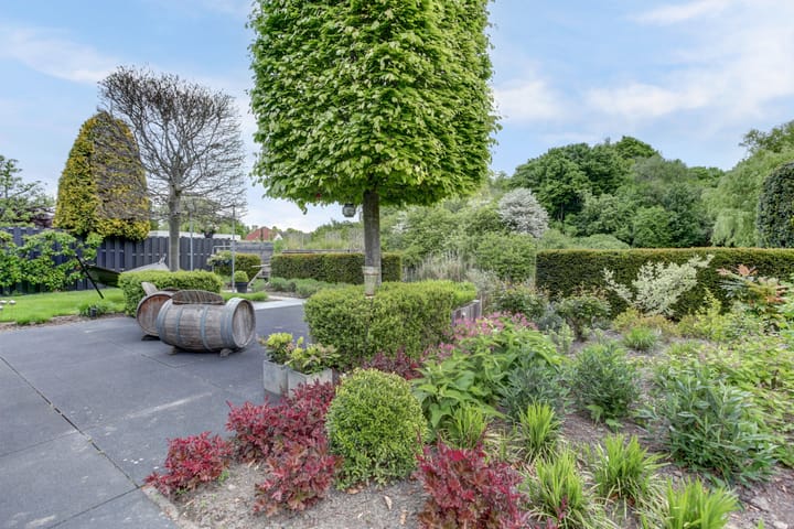 Foto 42 van Salland 11