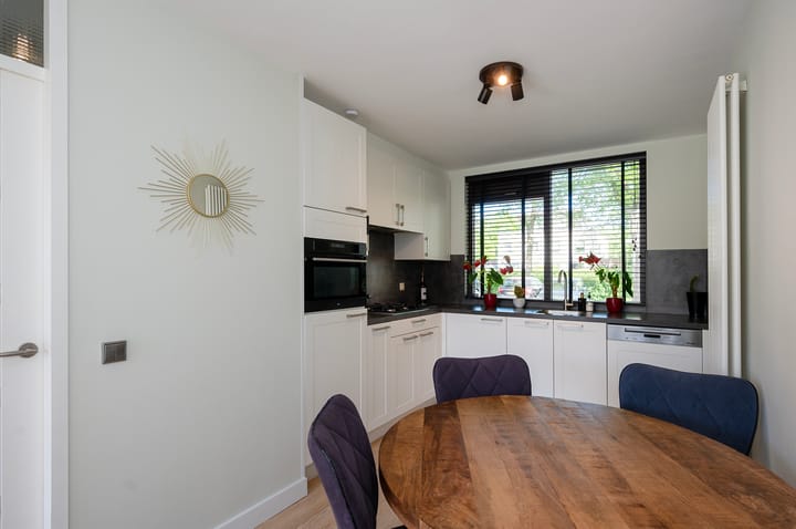 Foto 11 van Springendallaan 115