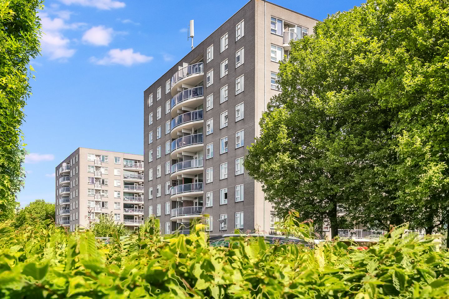 Foto 44 van Zeezigt 208