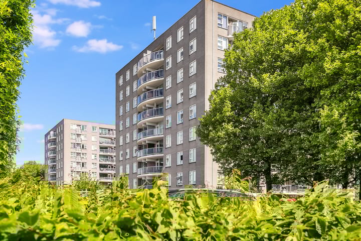 Foto 44 van Zeezigt 208