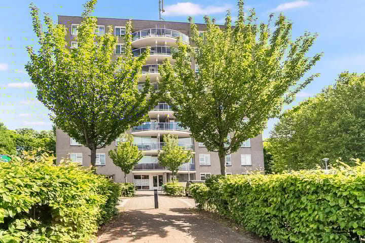 Foto 45 van Zeezigt 208