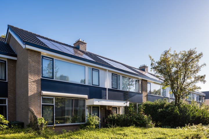 Couwenhoven 5513