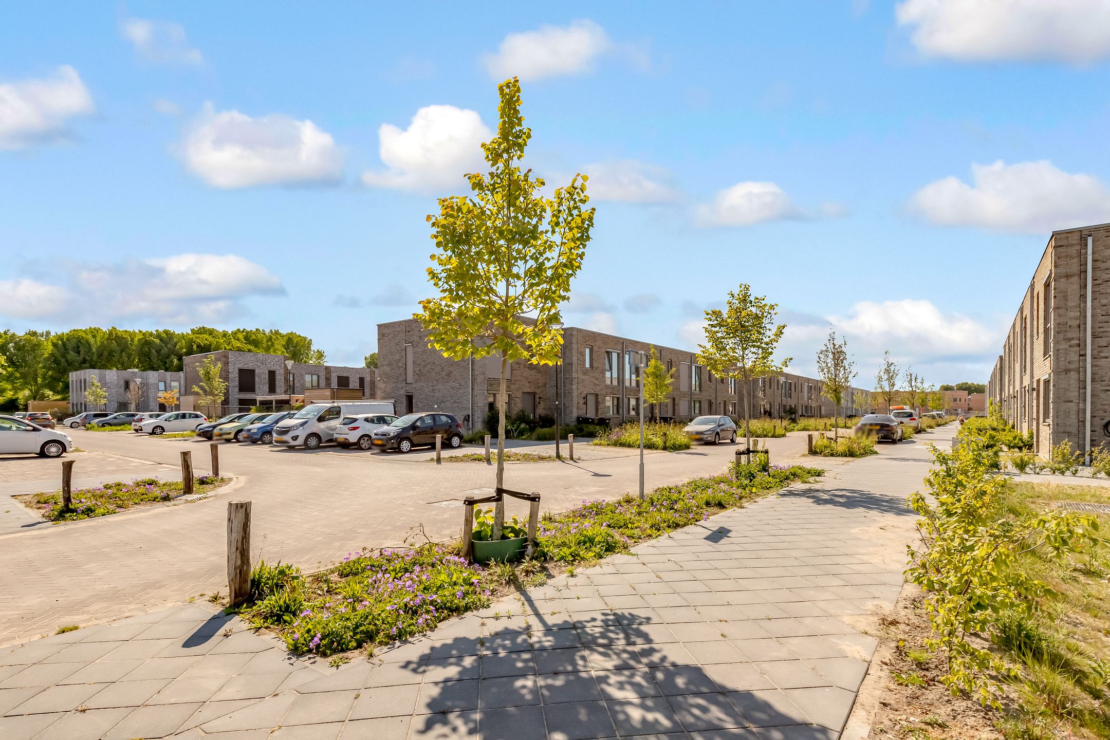 Foto 48 van Elizabeth Anscombestraat 72