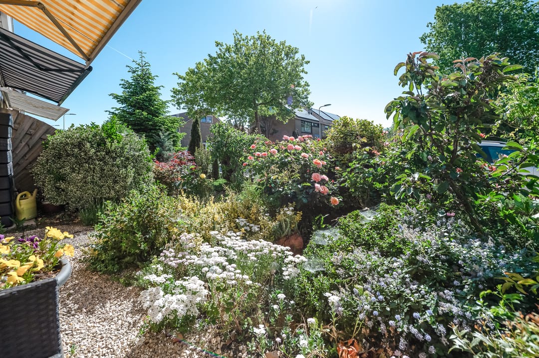 Foto 46 van Prinsenlaan 12