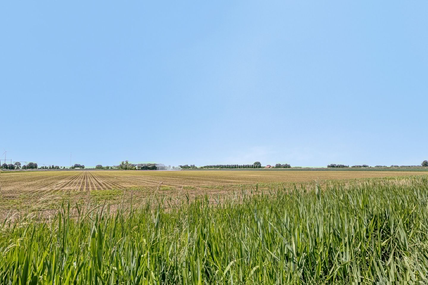 Foto 40 van Lavasteen 18