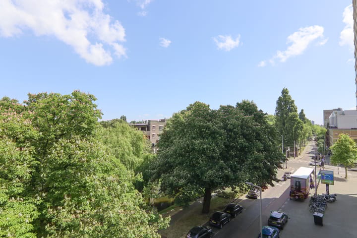 Foto 33 van Bergsingel 259