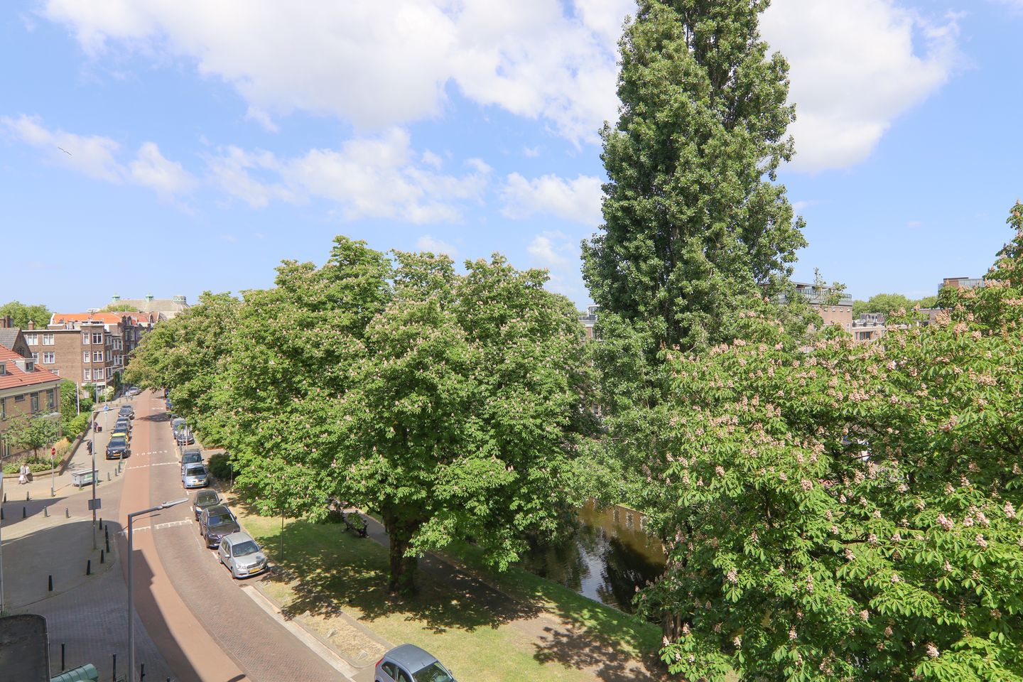 Foto 34 van Bergsingel 259