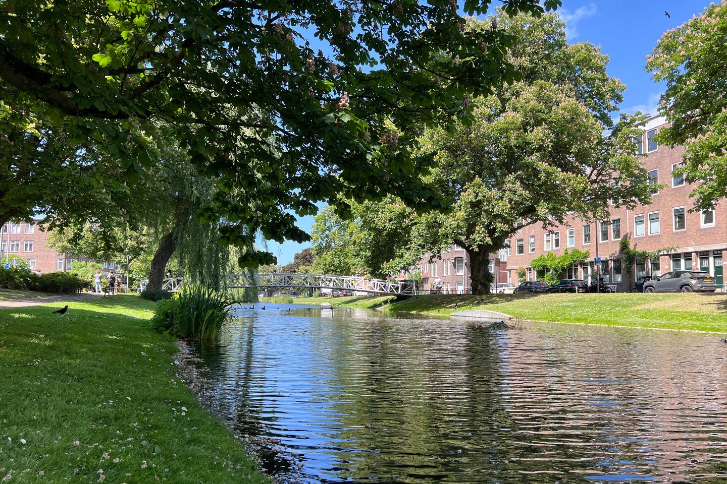 Foto 35 van Bergsingel 259