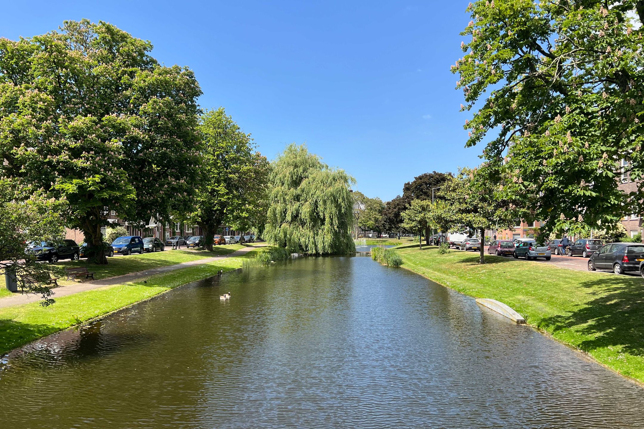 Foto 36 van Bergsingel 259