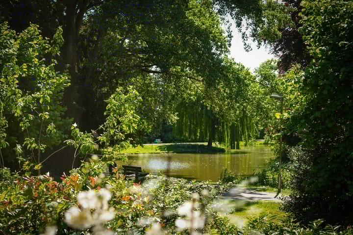 Photo 2 of Nijverheidstraat 22