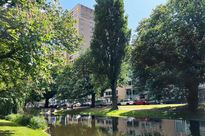 Foto 41 van Bergsingel 259