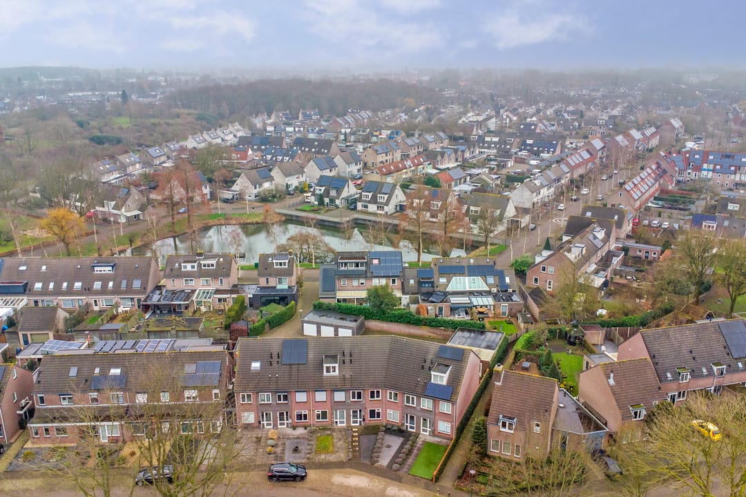 Foto 7 van Meidoorn 64