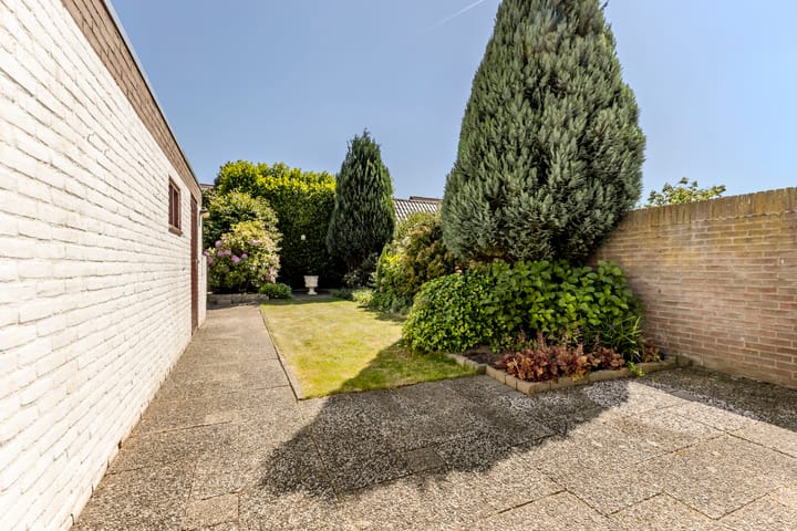 Foto 35 van Wijnsel 34