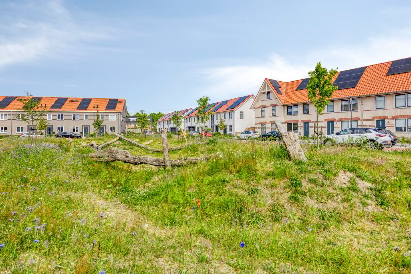 Foto 35 van Cedule 18