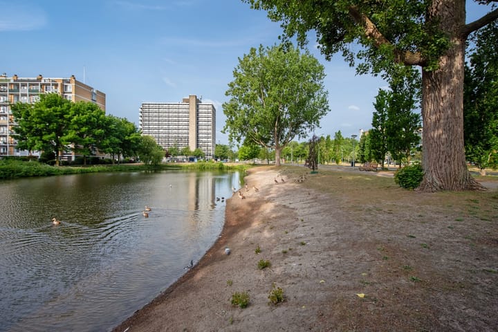 Foto 29 van Willem Pijperstraat 66