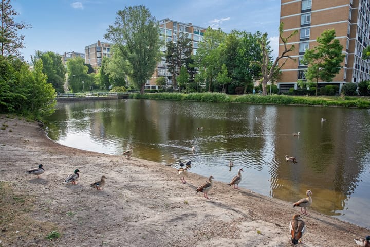 Foto 30 van Willem Pijperstraat 66