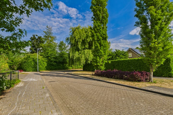 Foto 39 van Schoutstraat 13