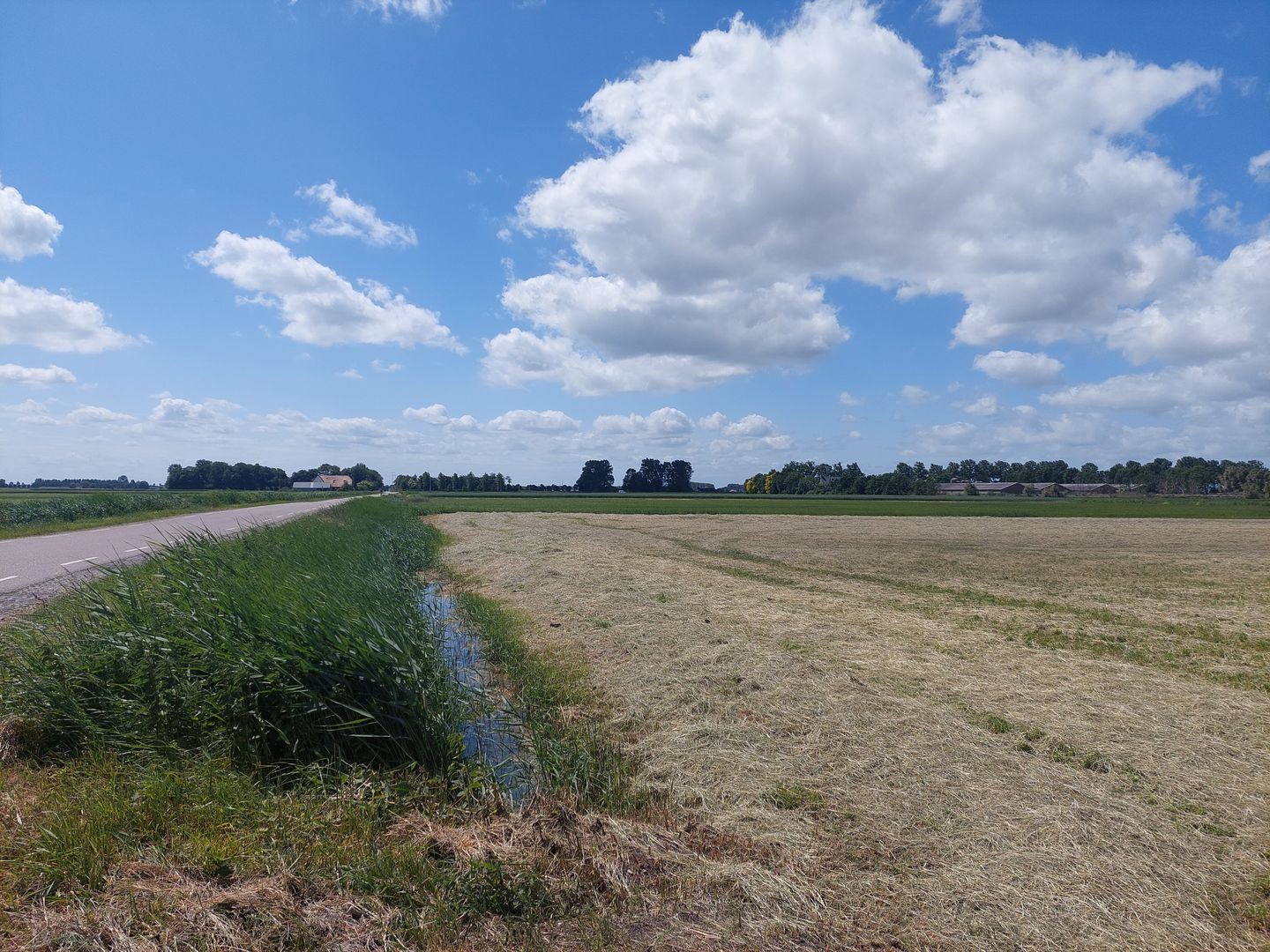 Bekijk foto 3 van Zwarteweg