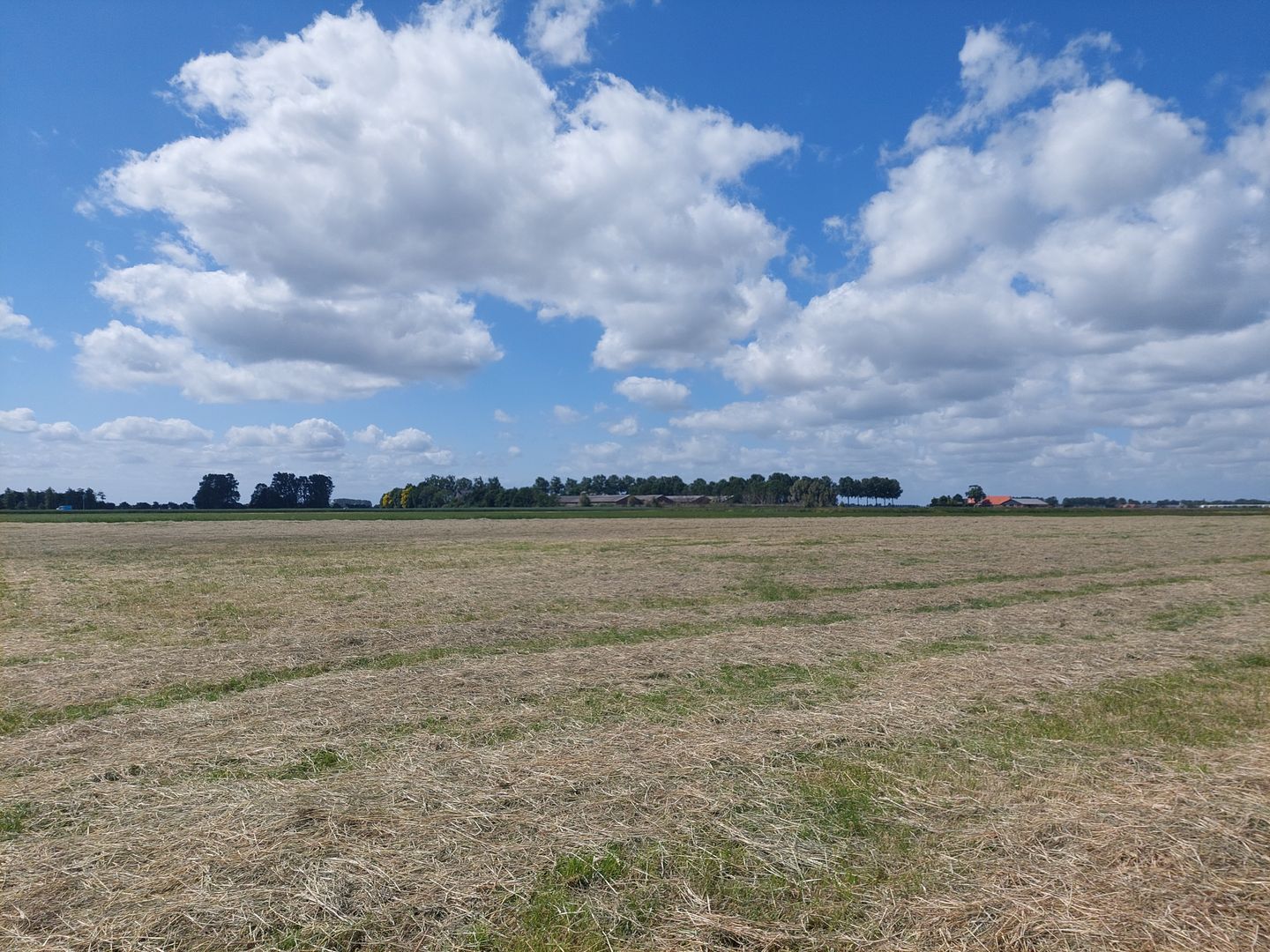 Bekijk foto 5 van Zwarteweg