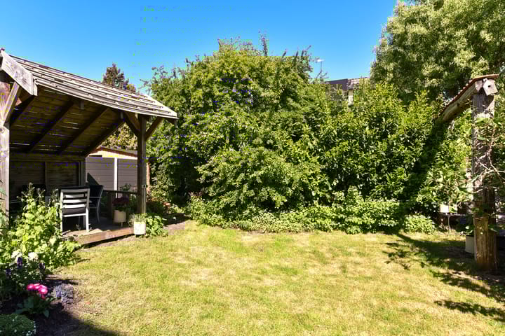 Foto 42 van Drieboomlaan 197