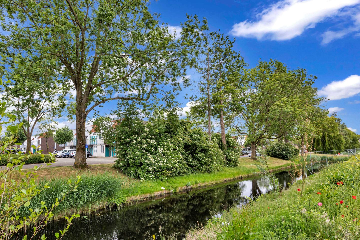 Photo 10 of Vierasser 83