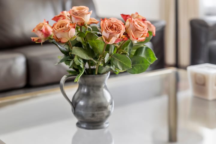 Foto 8 van Groot Veldsweer 22