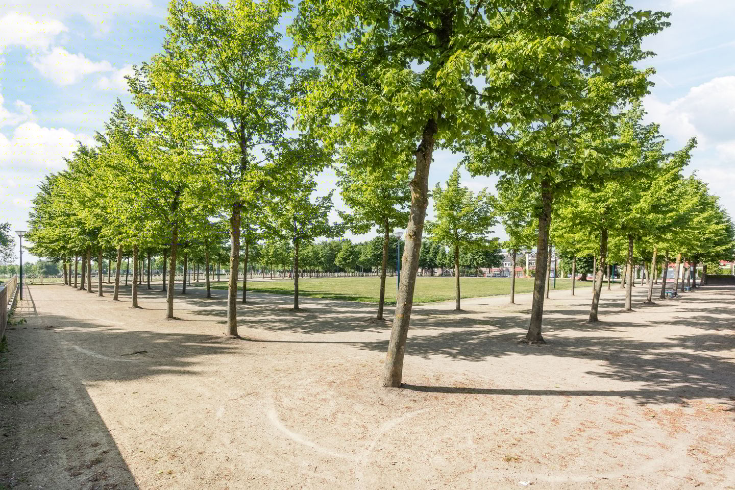 Foto 40 van Rijnlaan 38