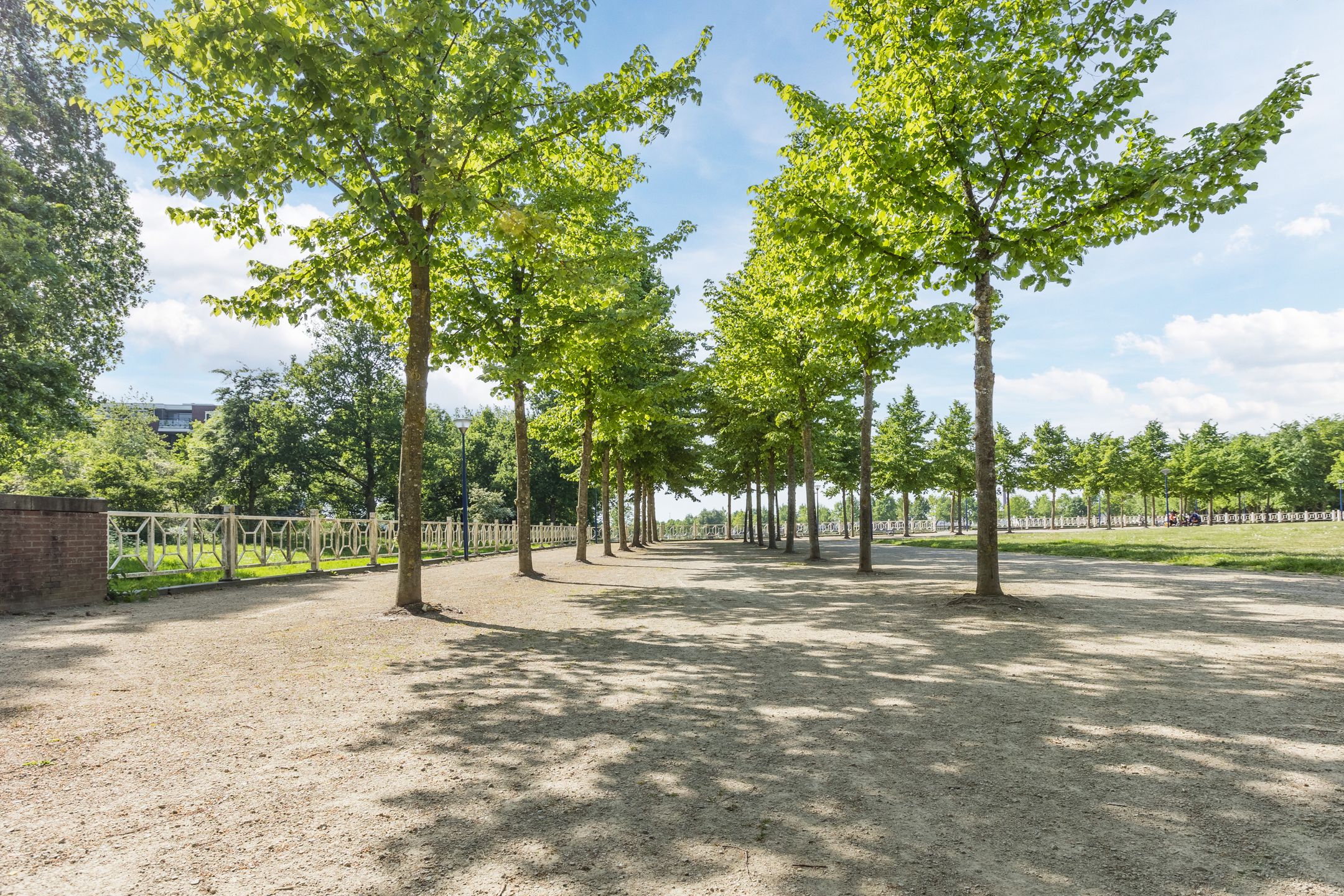 Foto 42 van Rijnlaan 38