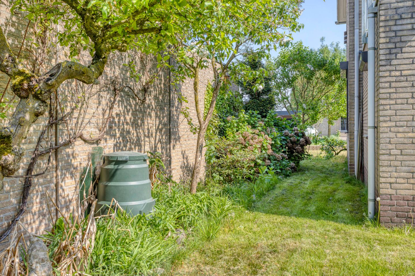 Foto 25 van Eliasstraat 3