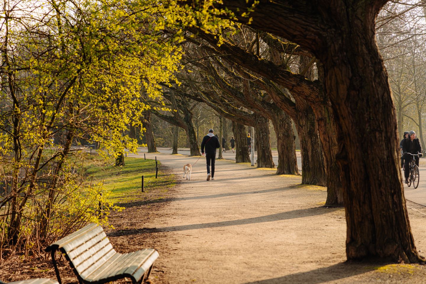 Photo 19 of Zocherstraat 42-C
