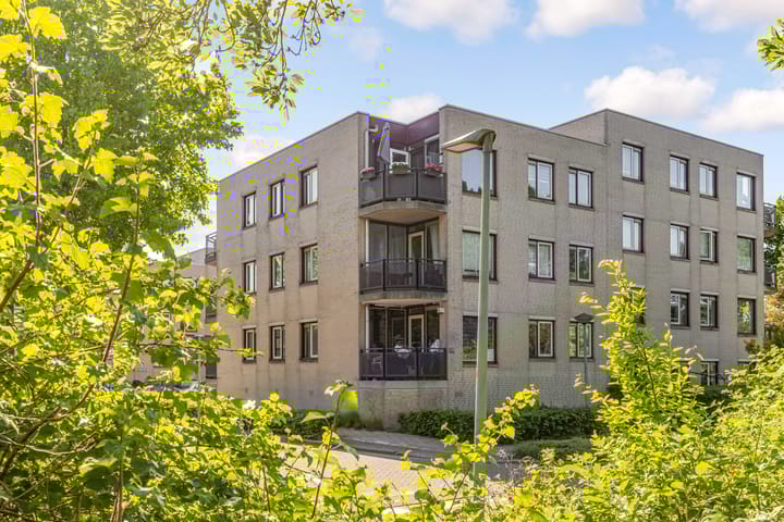 Foto 1 van Rosarium 79