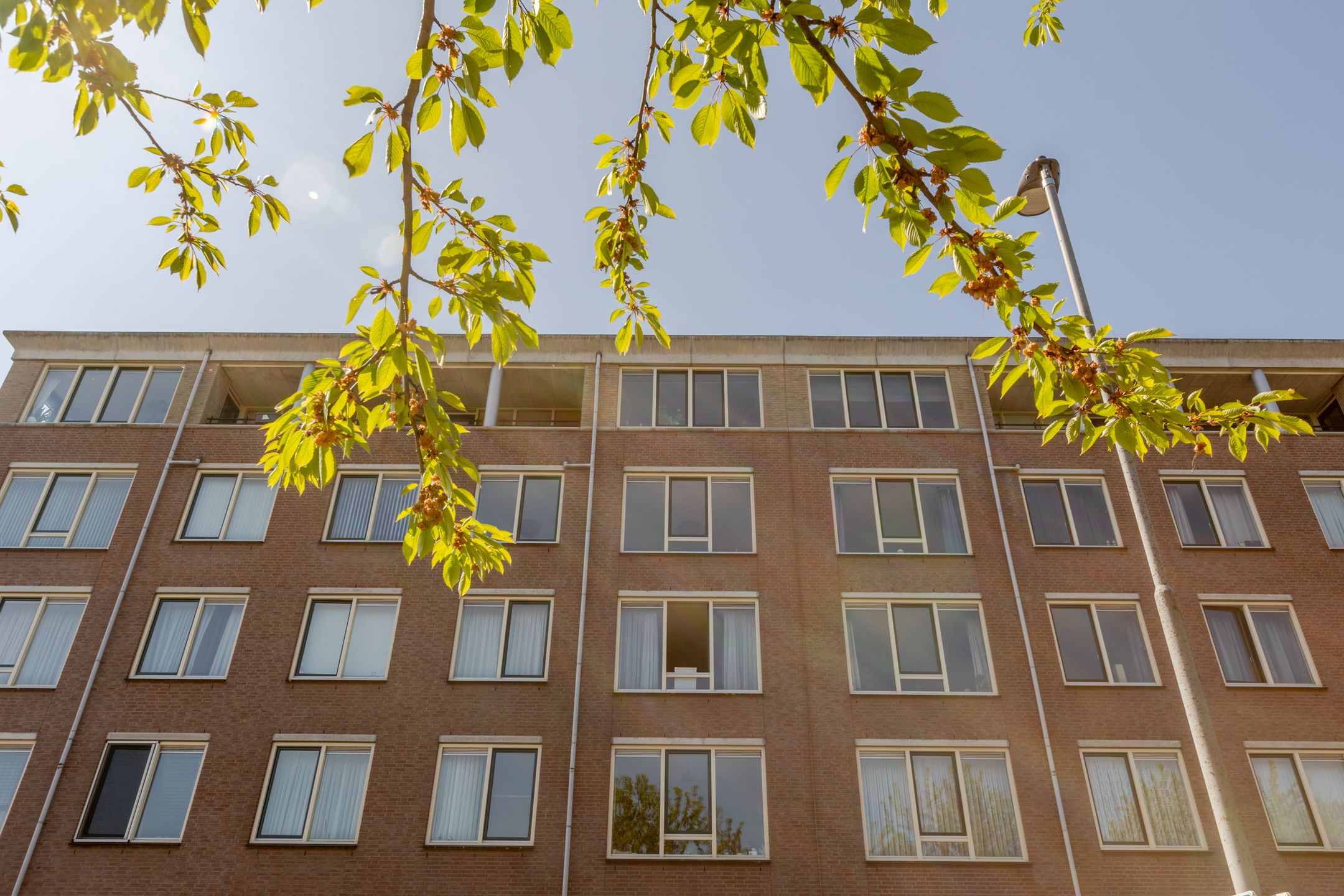 Foto 33 van Dr. Zamenhofstraat 9