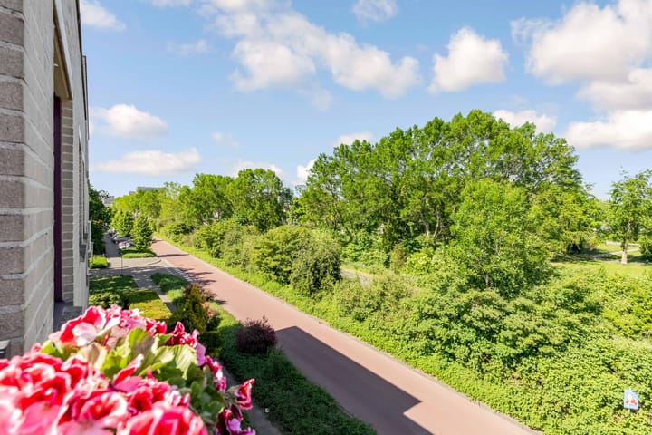 Foto 12 van Rosarium 79